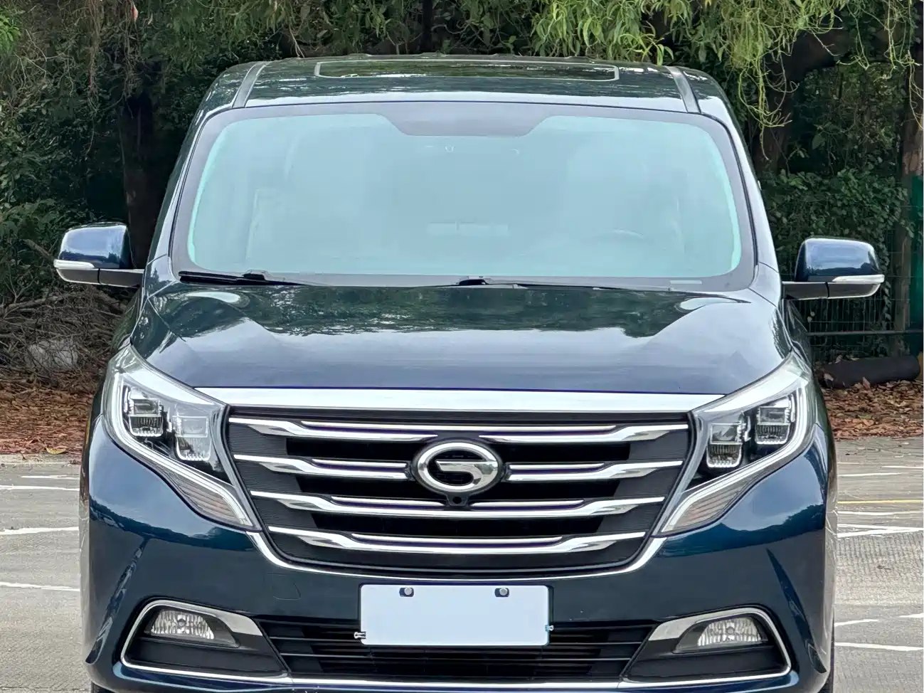 GAC Trumpchi M8 2018 2018 320T Luxury Edition