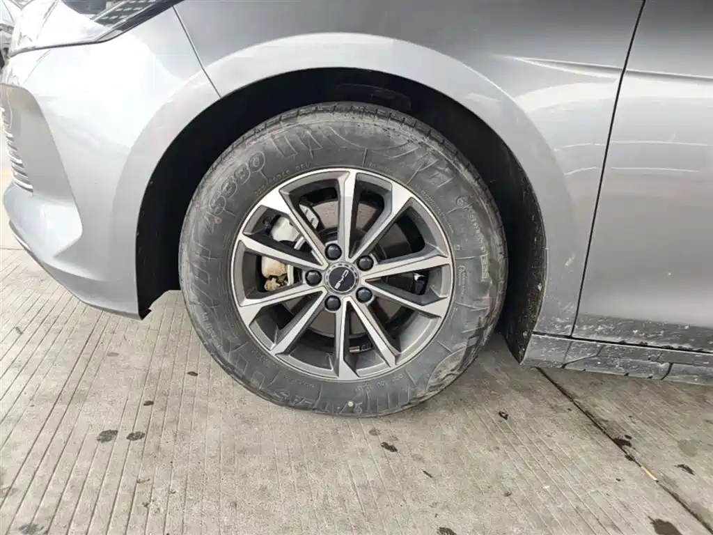 BYD Destroyer 05 2023 Champion Edition DM-i 55KM Luxury фото 23