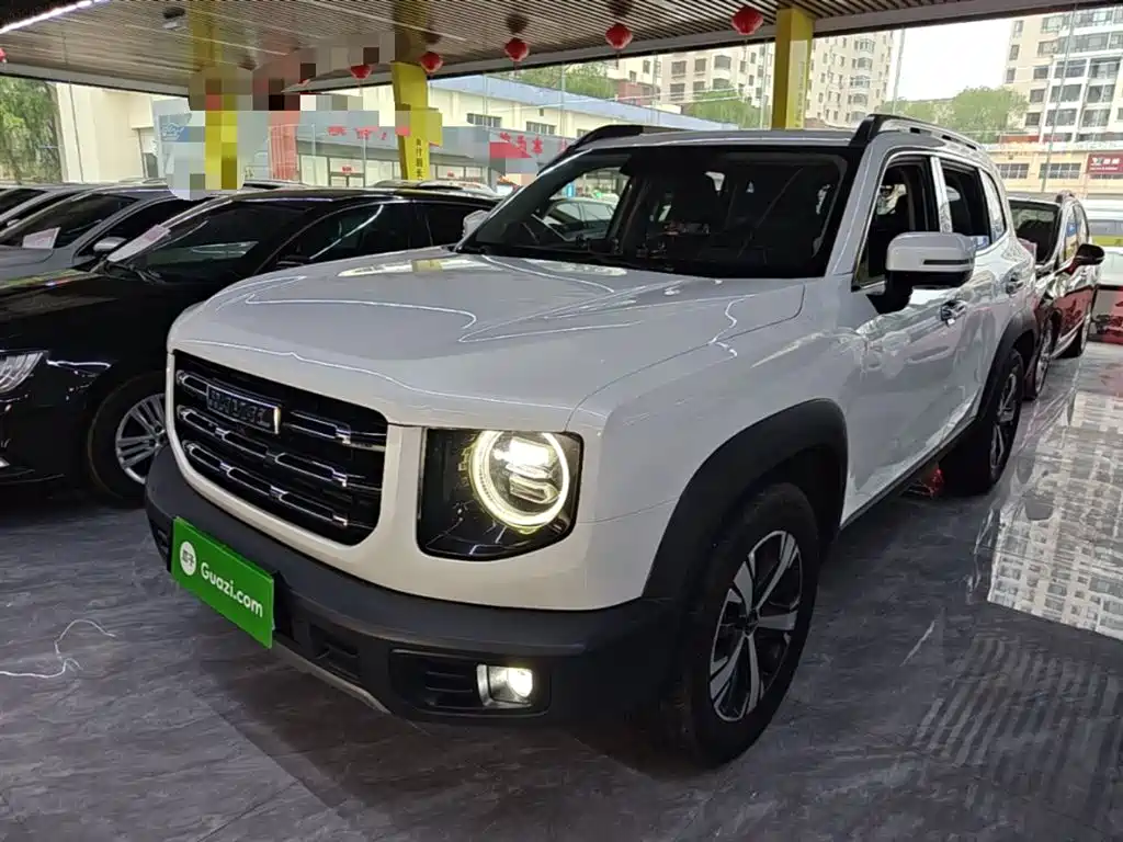 Haval Big Dog 2021 1.5T DCT 2WD Labrador Edition