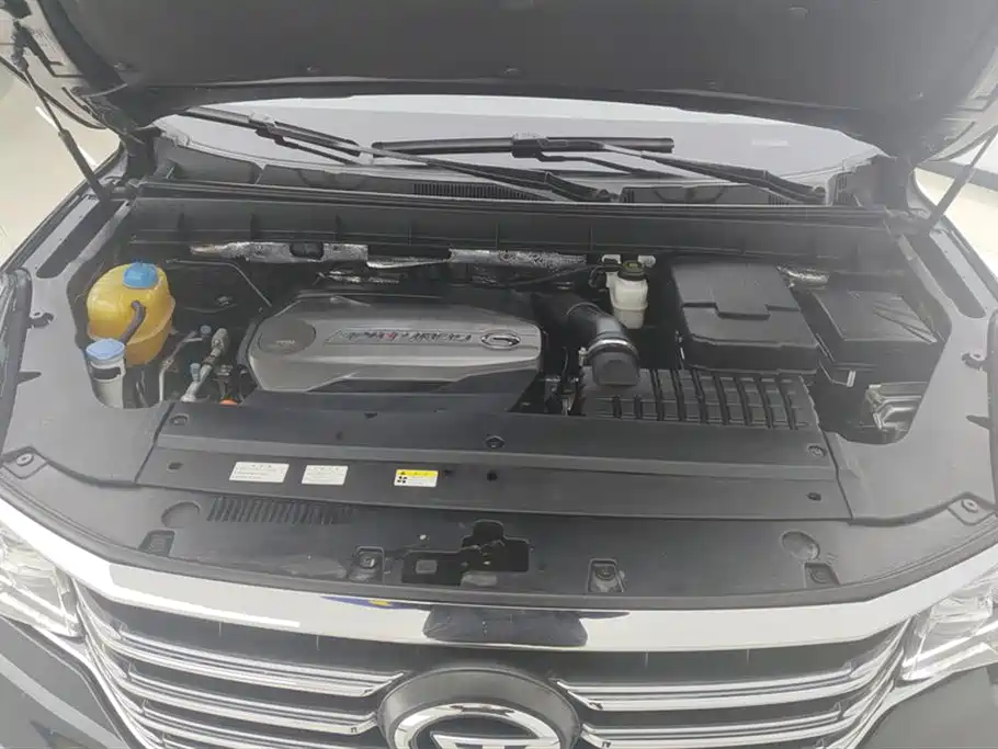 GAC Trumpchi Trumpchi GS8 2017 320T AWD Luxury Smart Connect (7-Seater) фото 10