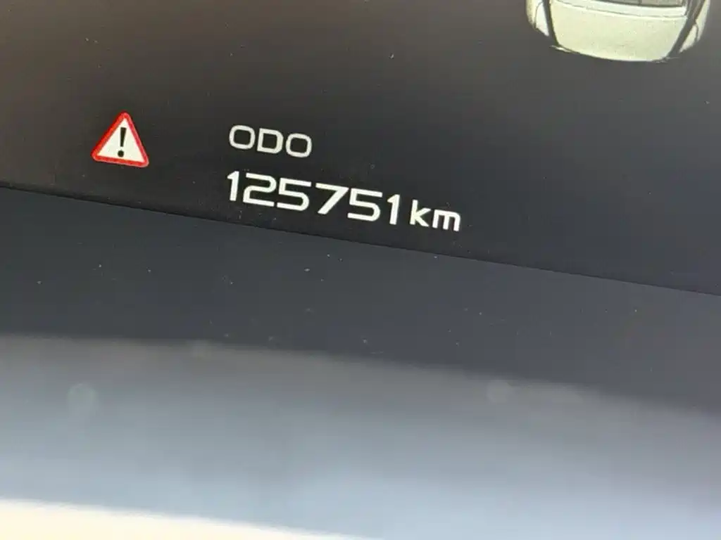 Geely Borui 2020 2020 1.5T MHEV Premium Edition