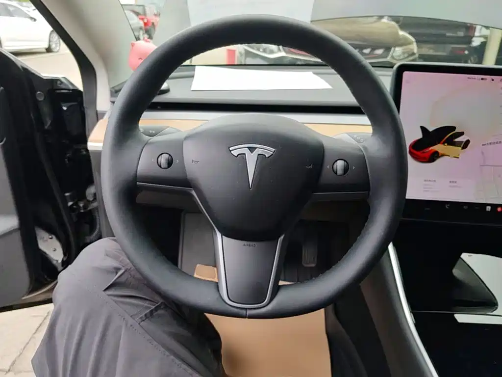 Tesla Model 3 2020 2020 Standard Range Rear-Wheel Drive Upgrade
