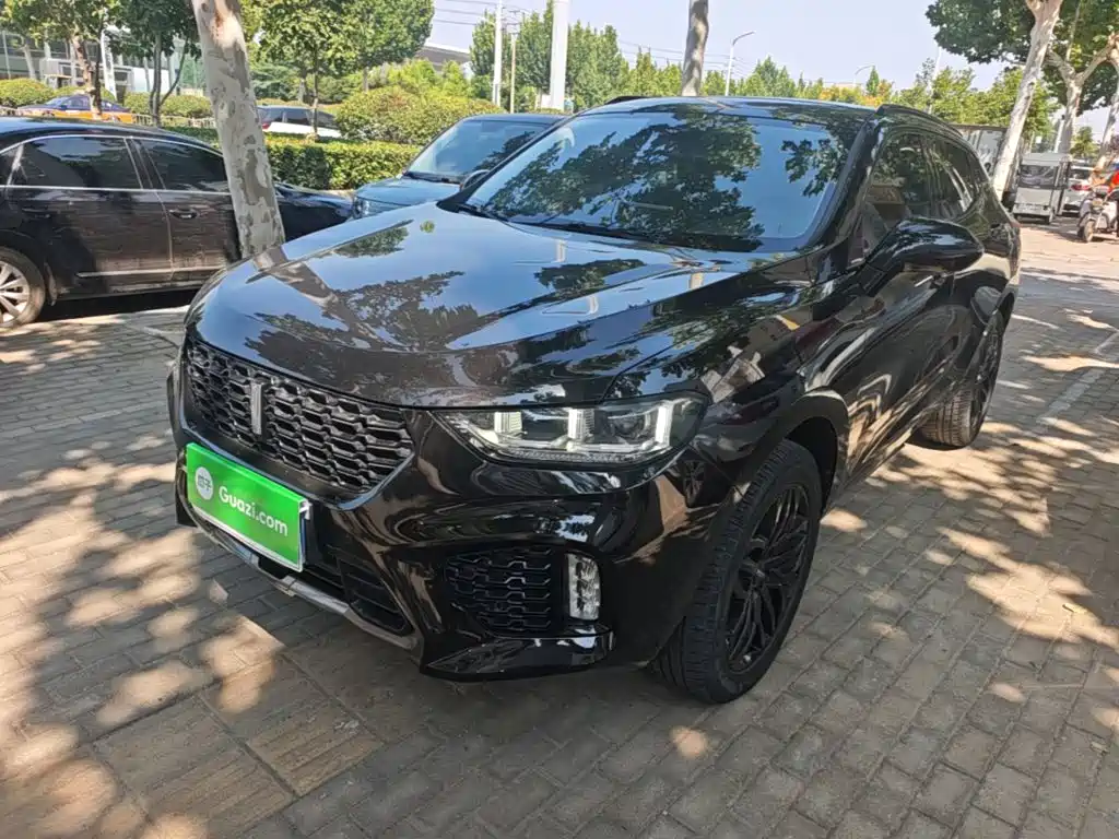 WEY VV5 2017 2017 2.0T Super Luxury Model