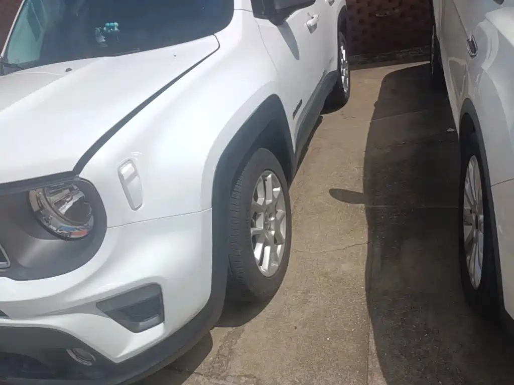 Jeep Renegade 2019 2019 220T Automatic Elite