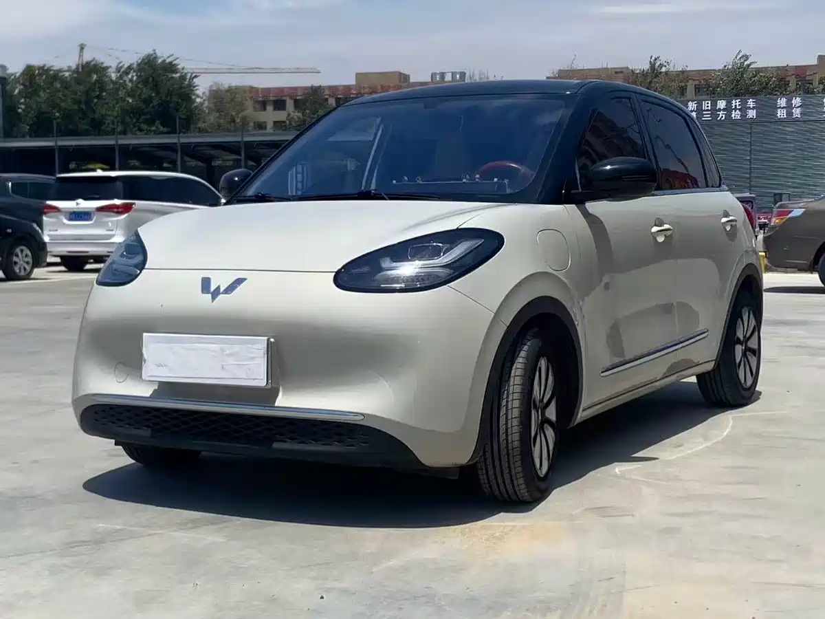 Wuling Motors Wuling Bingo 2024 333km Comfort Edition