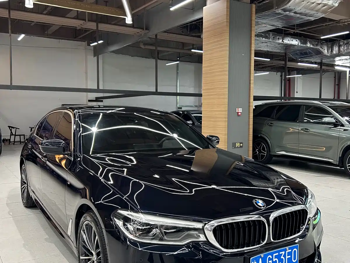 BMW 5 Series 2020 530Li Leading M Sport Package