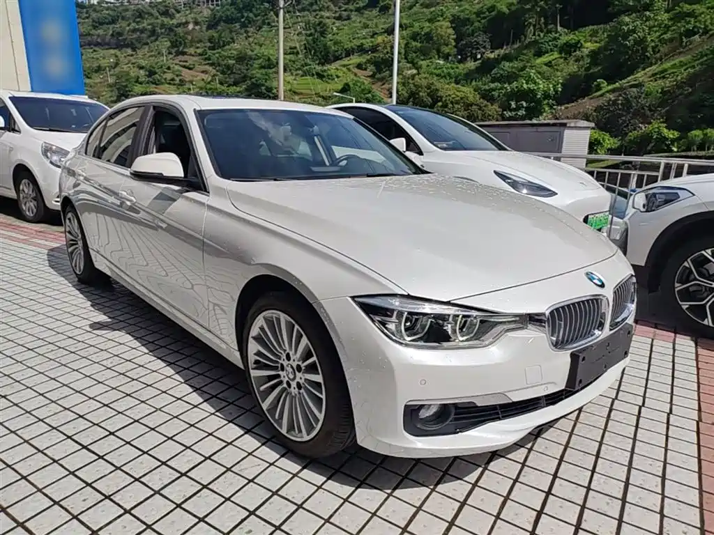 BMW 3 Series 2018 320Li Fashion Style фото 4