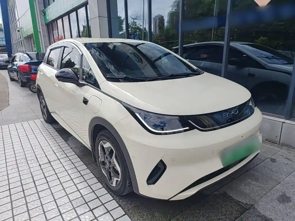 BYD Dolphin 2025 2025 Smart Drive Edition 420km Freedom Version