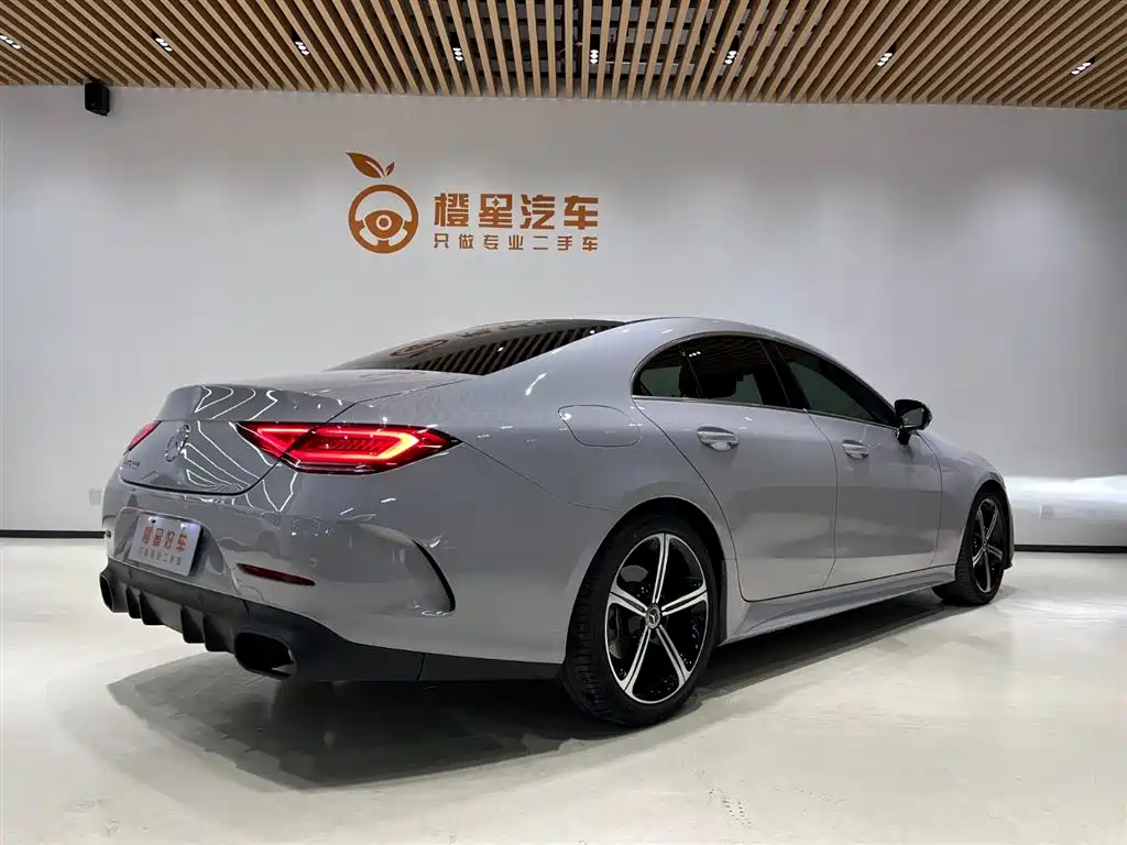 Mercedes-Benz CLS 2020 CLS 300 Luxury фото 4