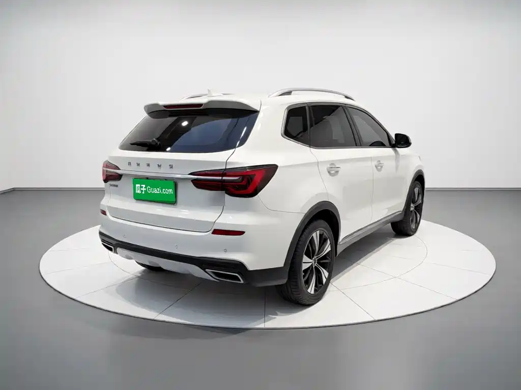 Фото 6 - Roewe RX5