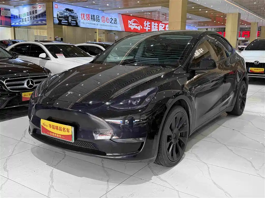 Tesla Model Y 2021 Standard Range Rear-Wheel Drive