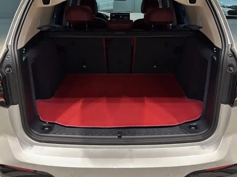 BMW X3 2023 xDrive30i Leading M Night Package фото 23