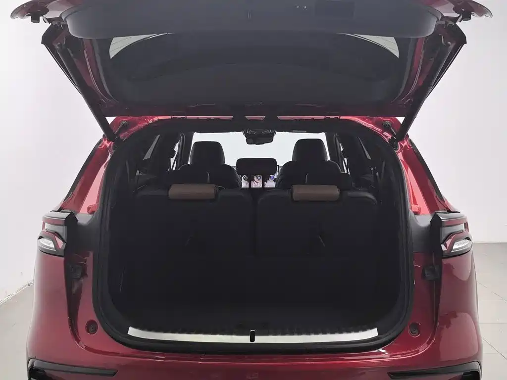 Photo 16 - BYD Tang New Energy