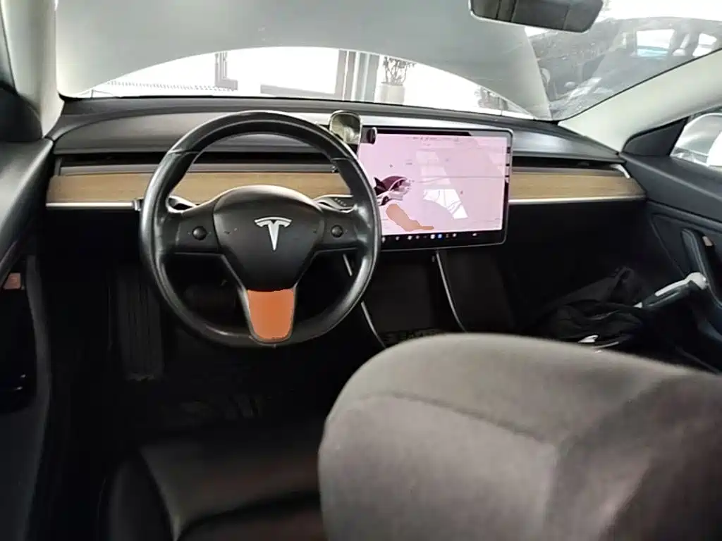 Фото 10 - Tesla Model 3 (Import)