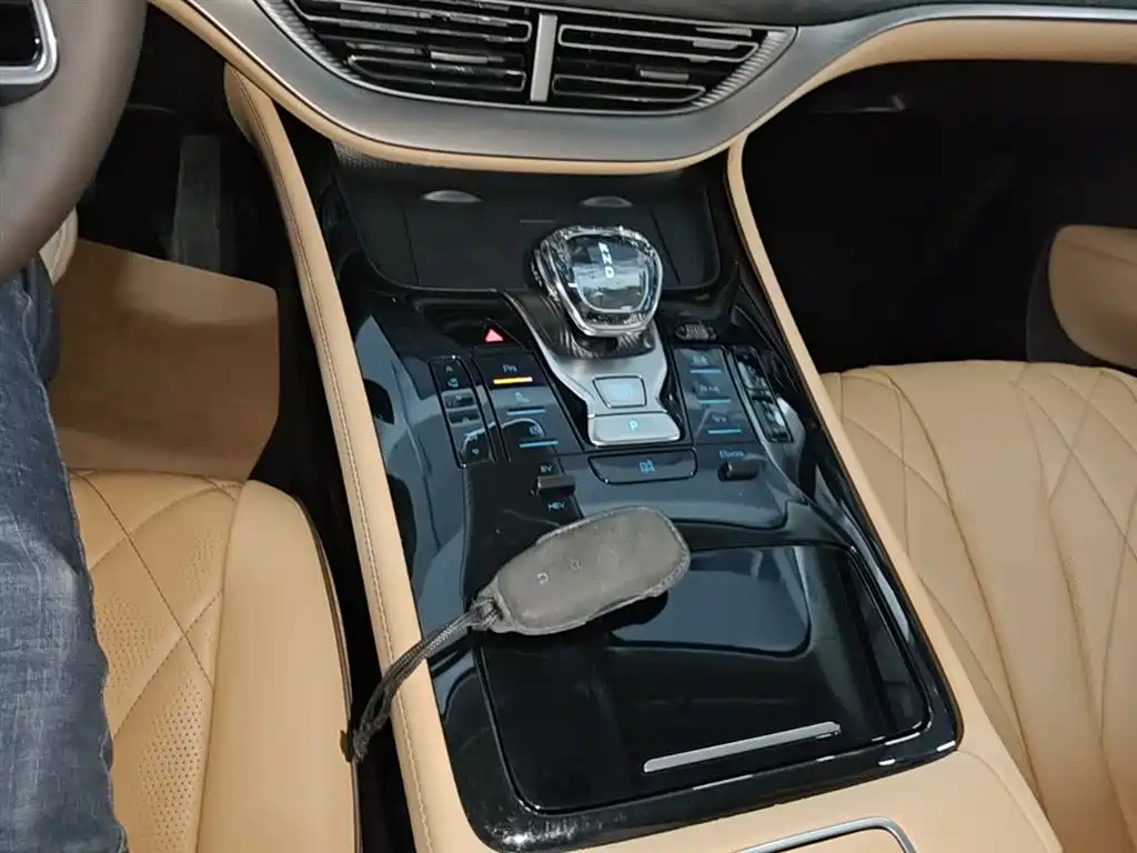 Denza D9 2024 DM-i 980 AWD Premium фото 14