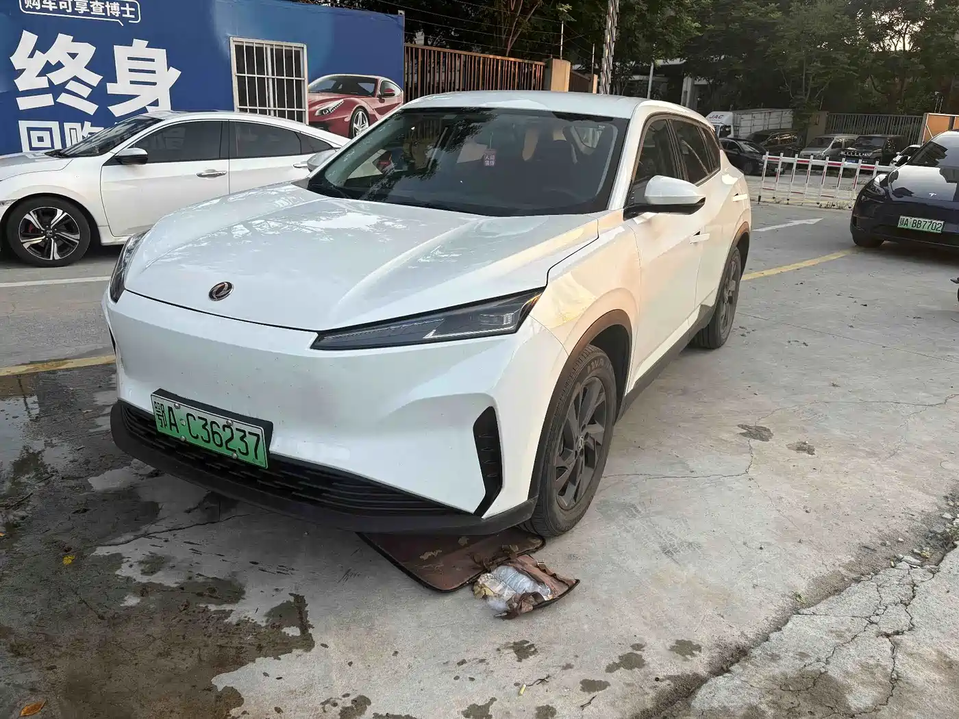 Dongfeng Aeolus SKY EV01 2024 2023 Model 445km PRO