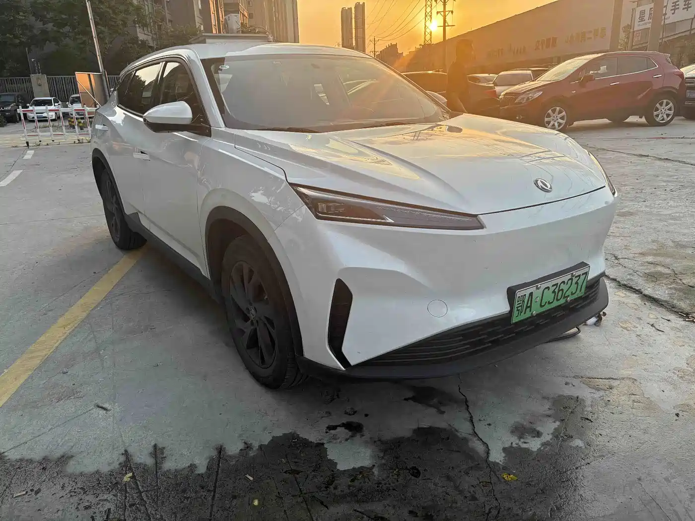 Dongfeng Aeolus SKY EV01 2024 2023 Model 445km PRO