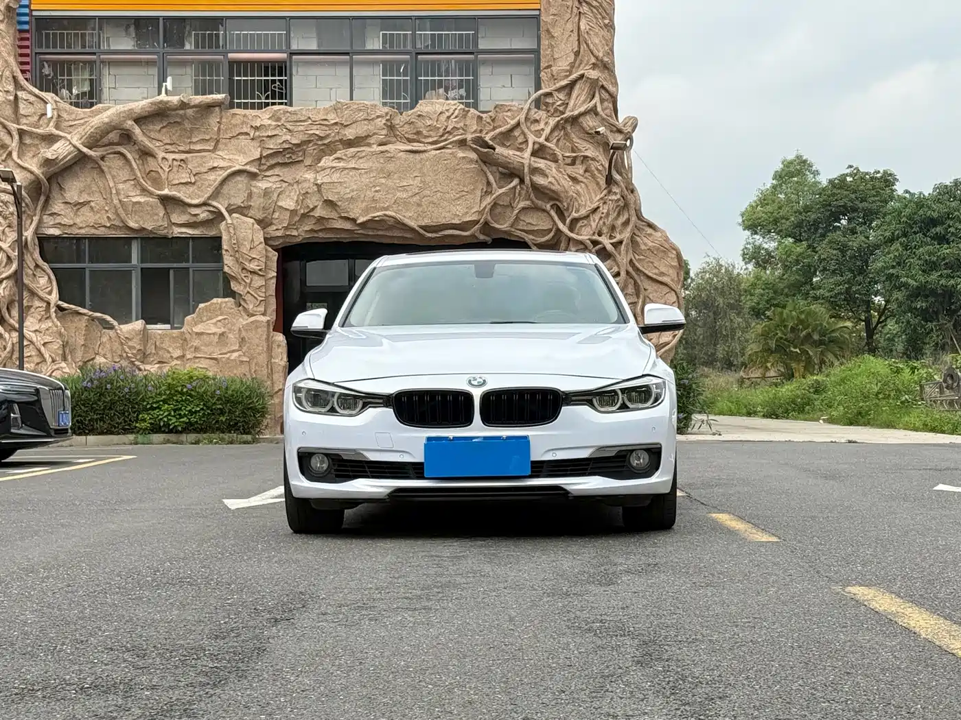BMW 3 Series 2017 318Li Fashion фото 2