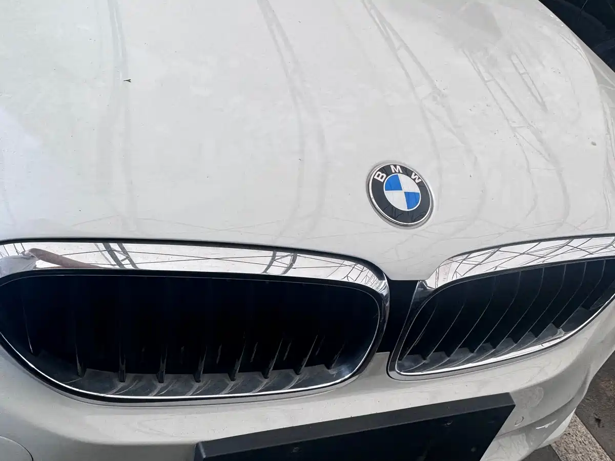 BMW 5 Series 2018 530Li Leading M Sport Package фото 2