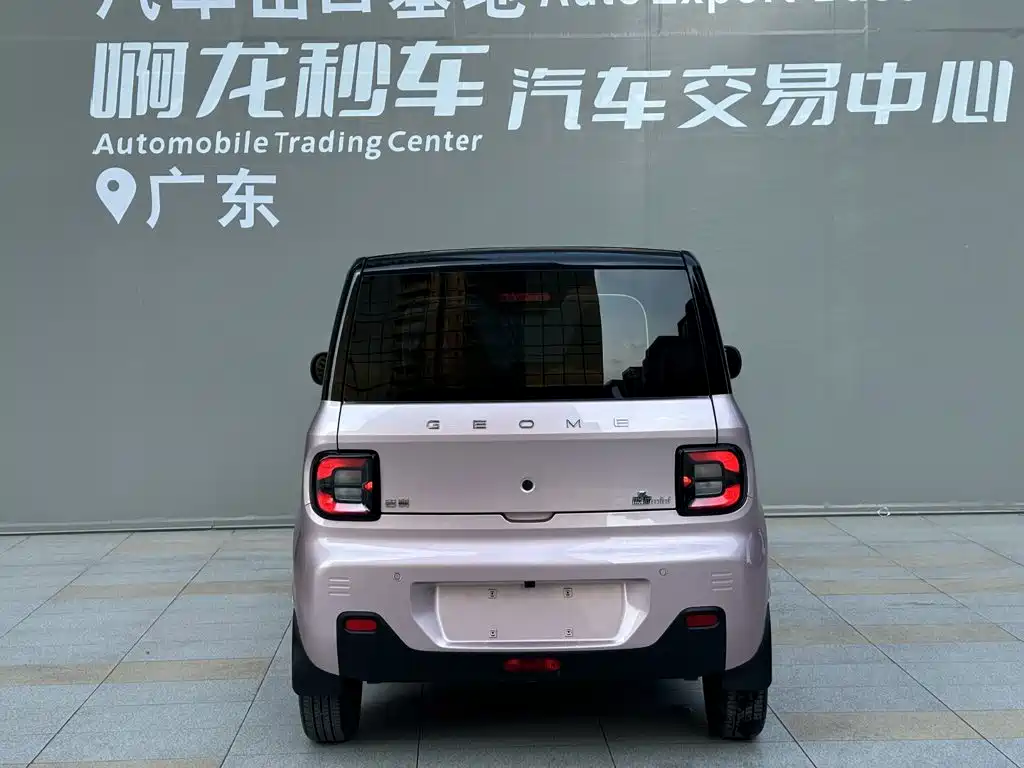 Фото 4 - Geely Galaxy Panda