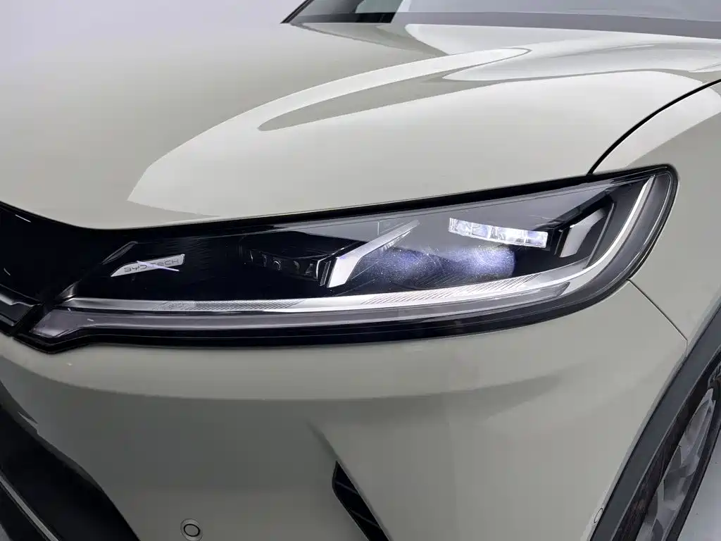 BYD Yuan UP 2025 2025 Smart Drive Edition 401KM Vitality Version