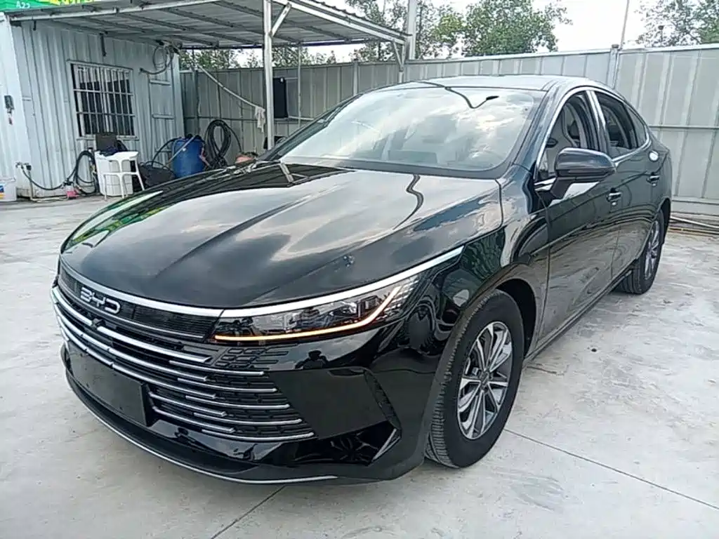 BYD Destroyer 05 2024