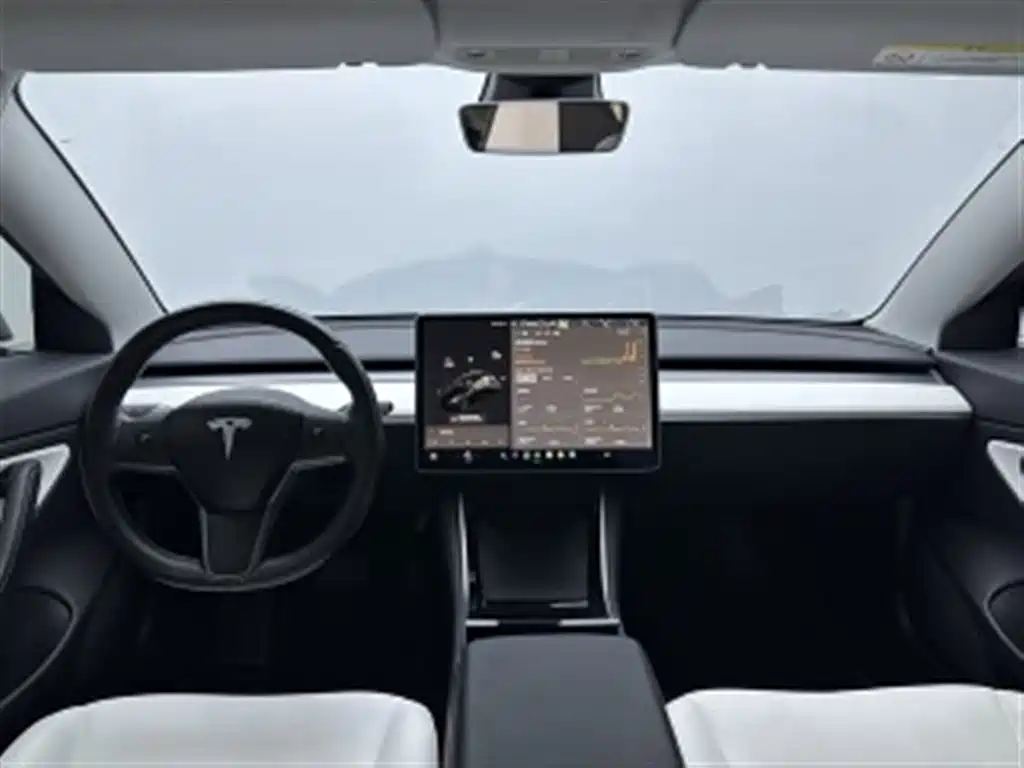 Tesla Model 3 (Import) 2019 2019 Long Range RWD Version