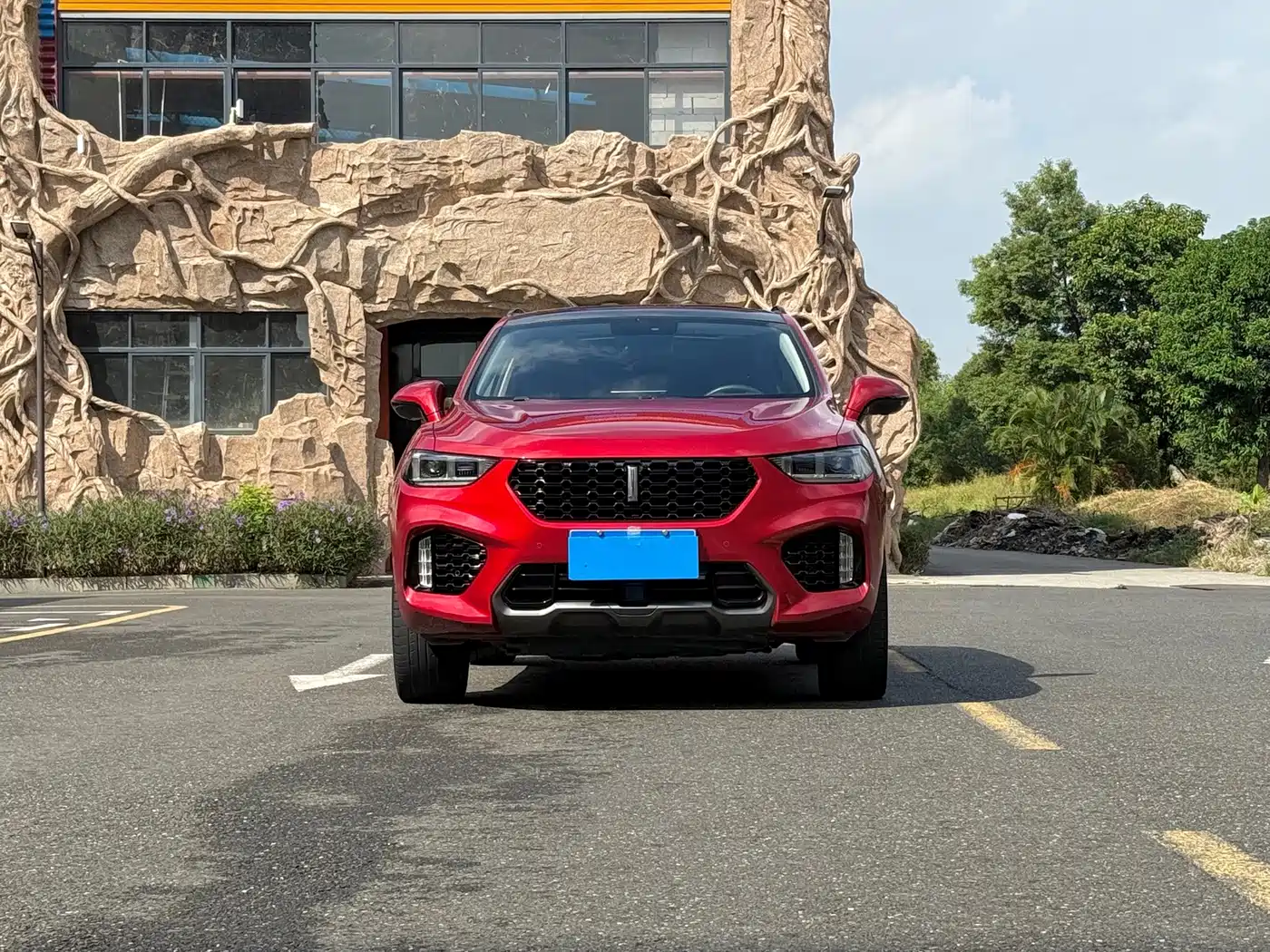 WEY VV5 2017 2017 2.0T Super Luxury Model