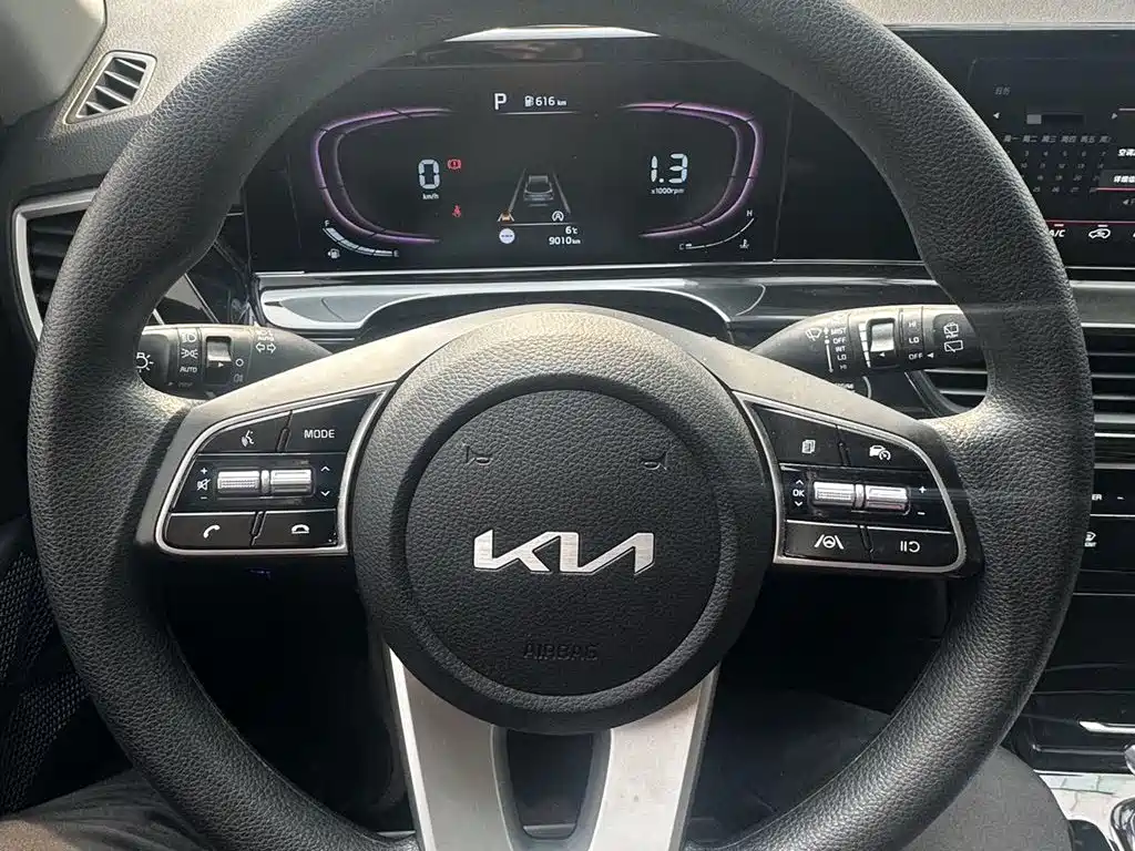 Kia Seltos 2023 1.5L CVT Luxury Edition фото 10