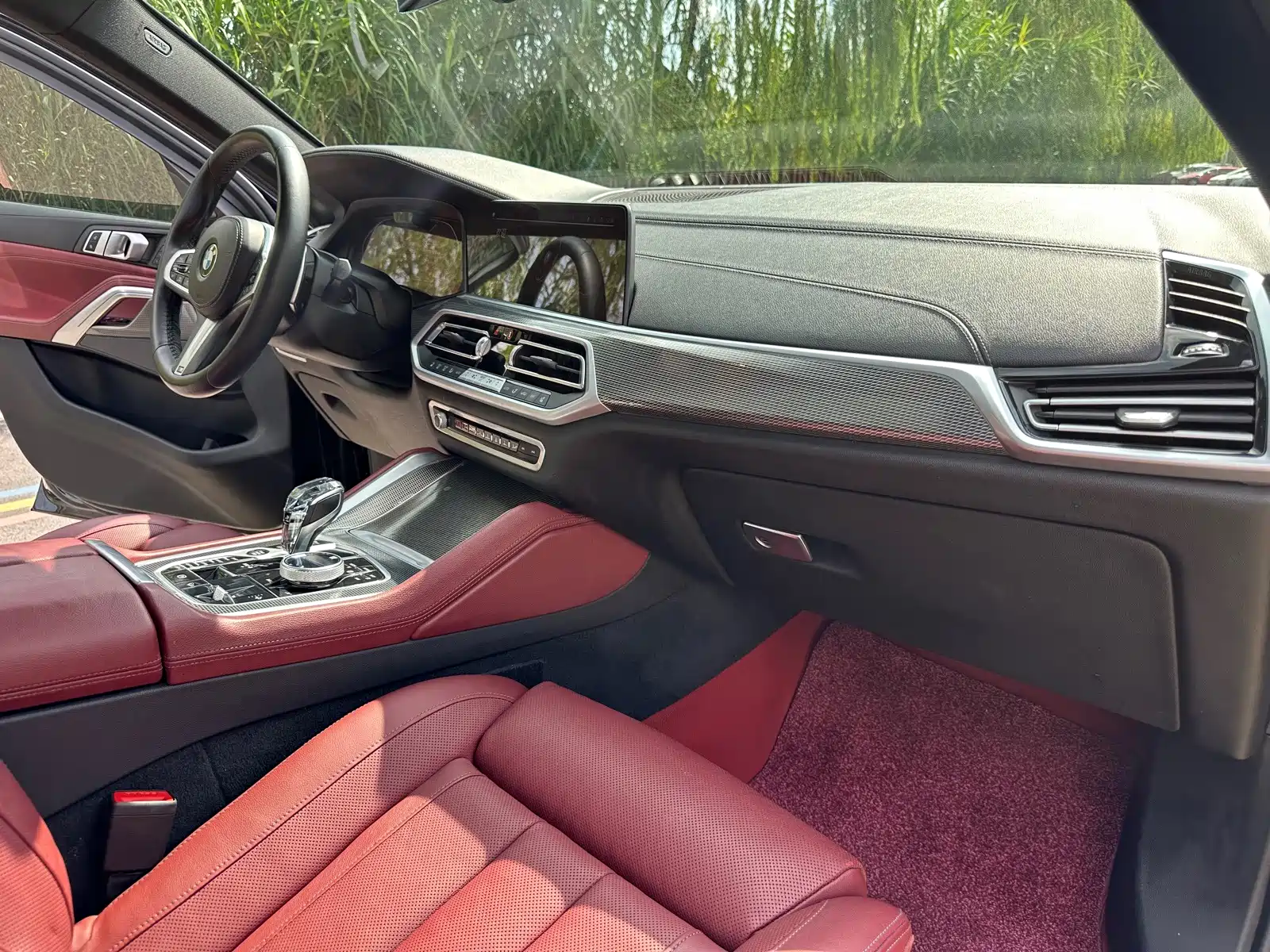 Photo 12 - BMW X6