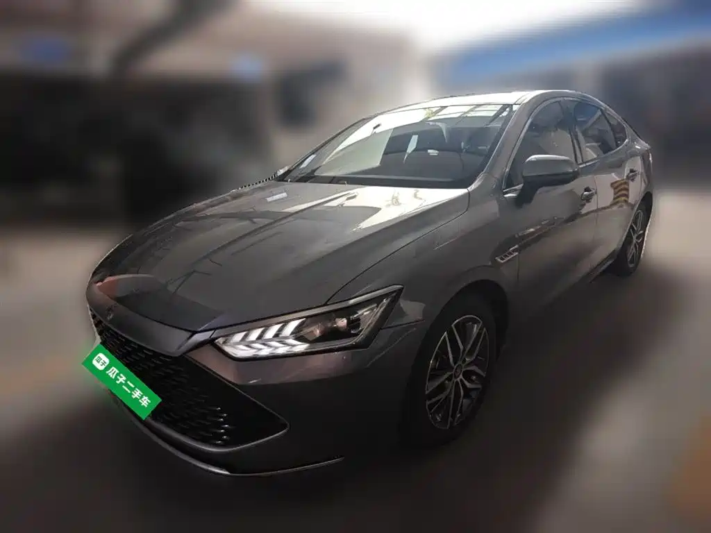 BYD Qin PLUS 2021 DM-i 55KM Flagship