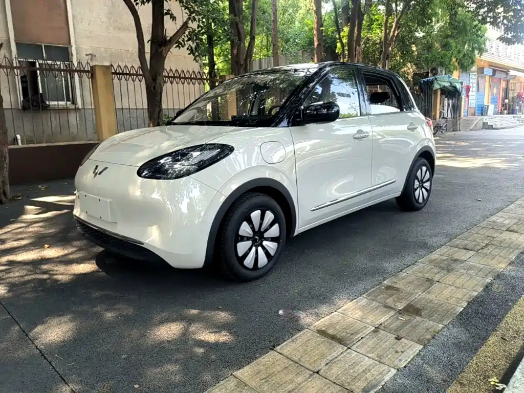 Wuling Motors Wuling Bingo 2026 2025 Model 333km Smart Connect