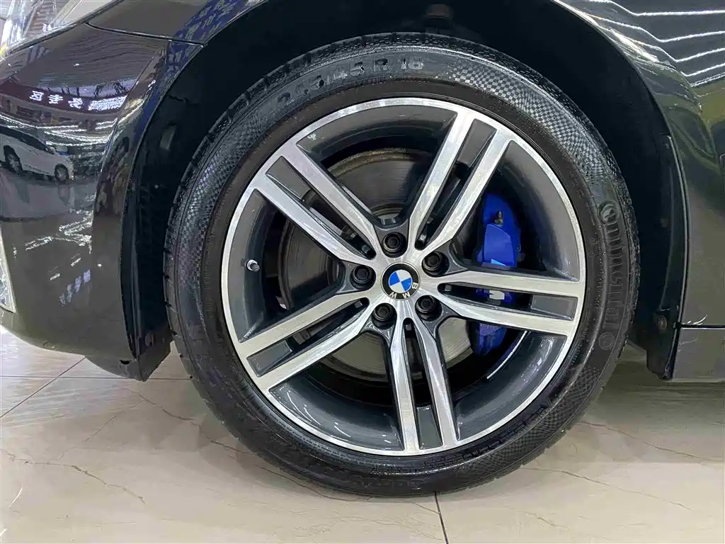 BMW 5 Series 2021 530Li Leading Luxury Package фото 5