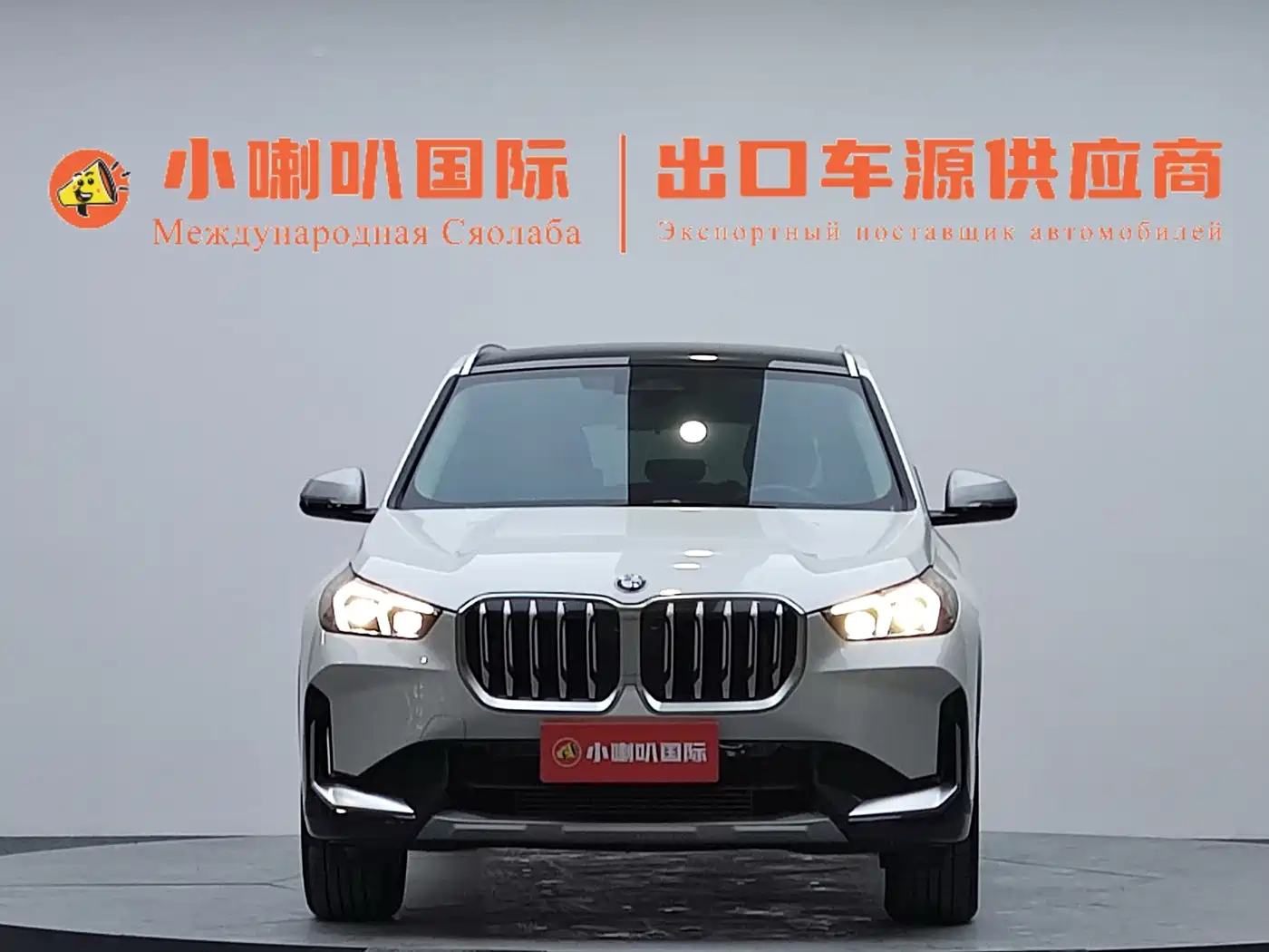 BMW X1 2024 2023 sDrive20Li X Design Package