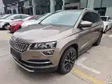 Фото 1 - Škoda Karoq