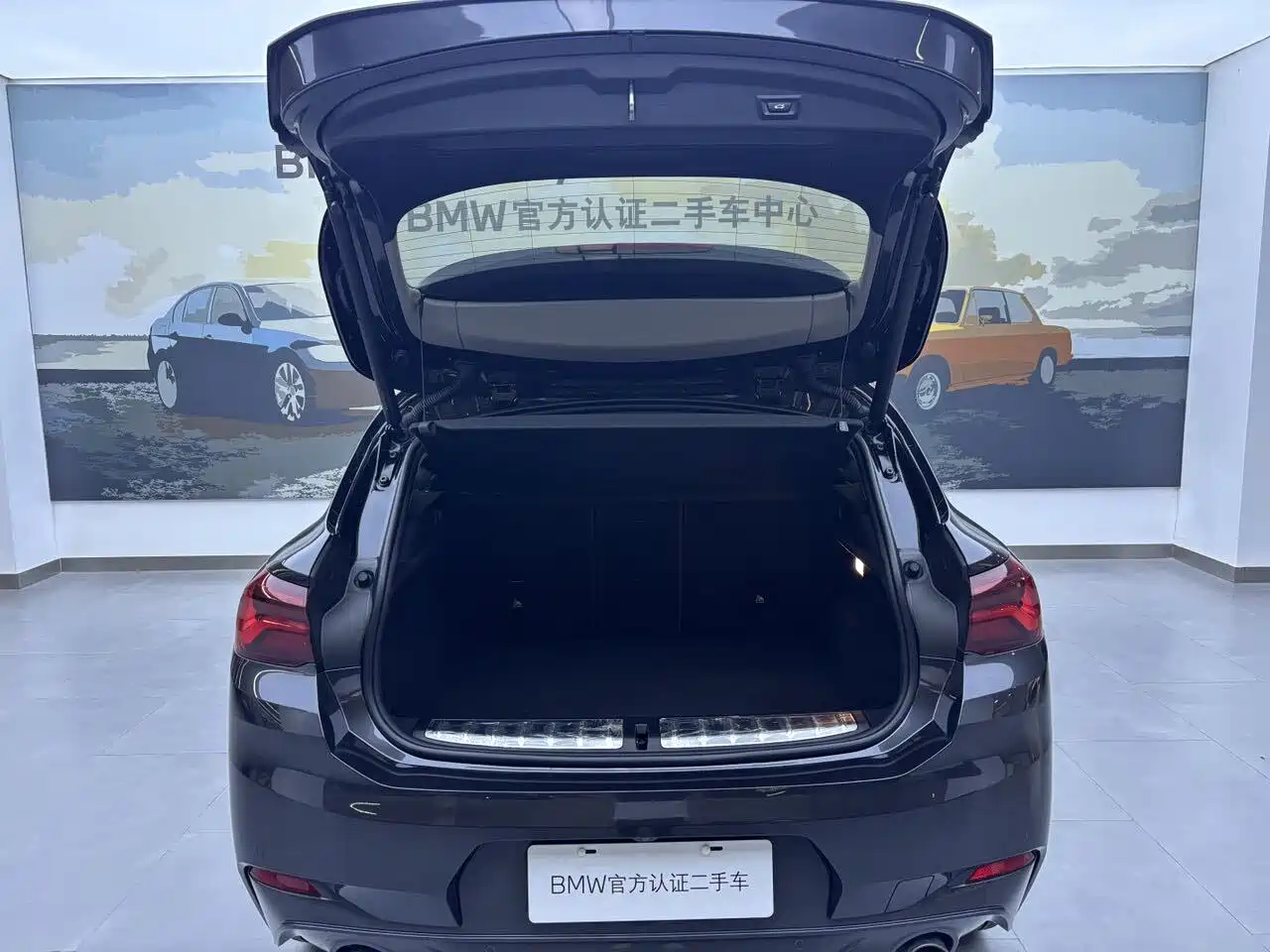BMW X2 2021 sDrive25i Leading M Off-Road Package фото 7