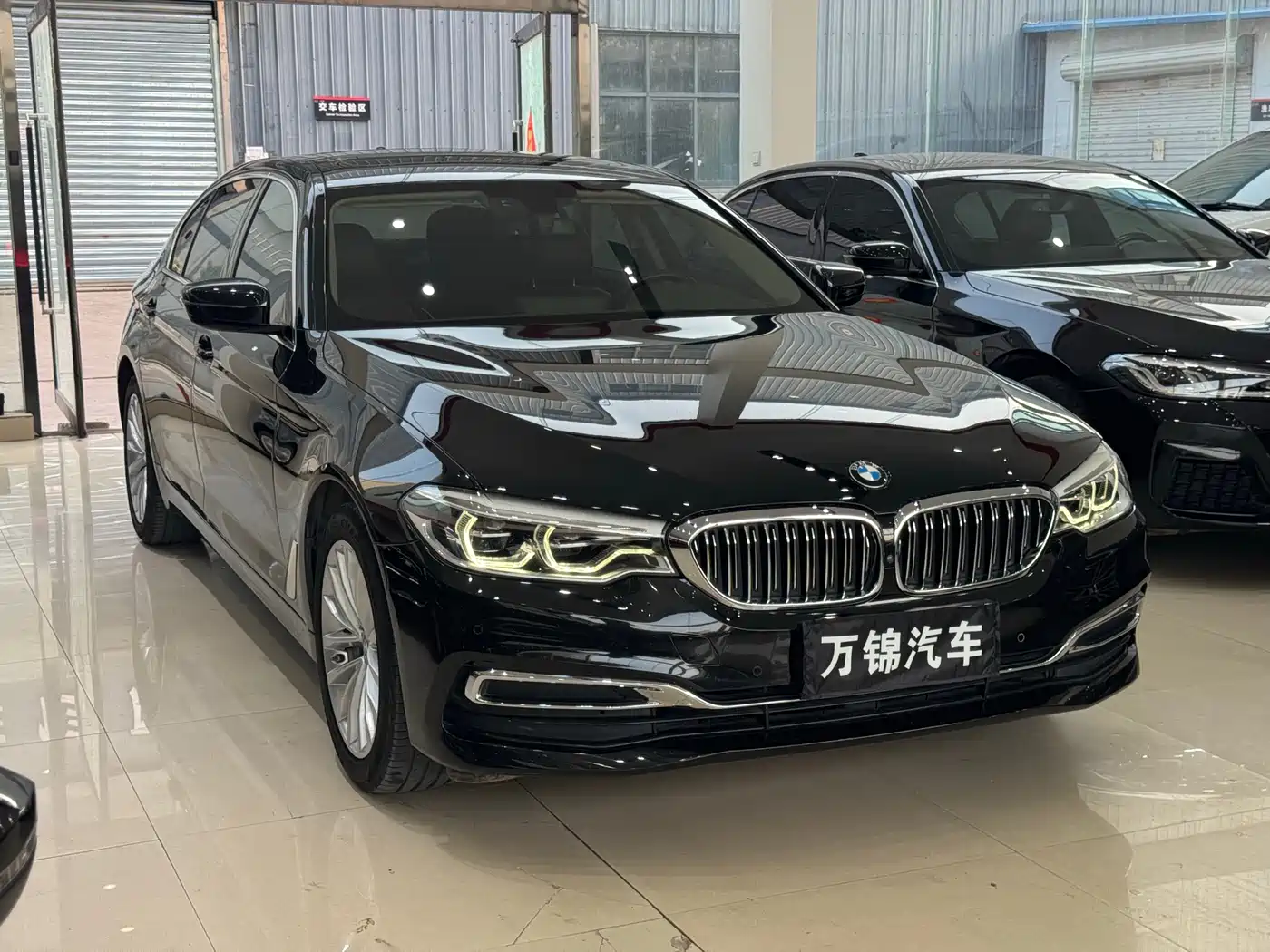 BMW 5 Series 2020 530Li Leading Luxury Package фото 3