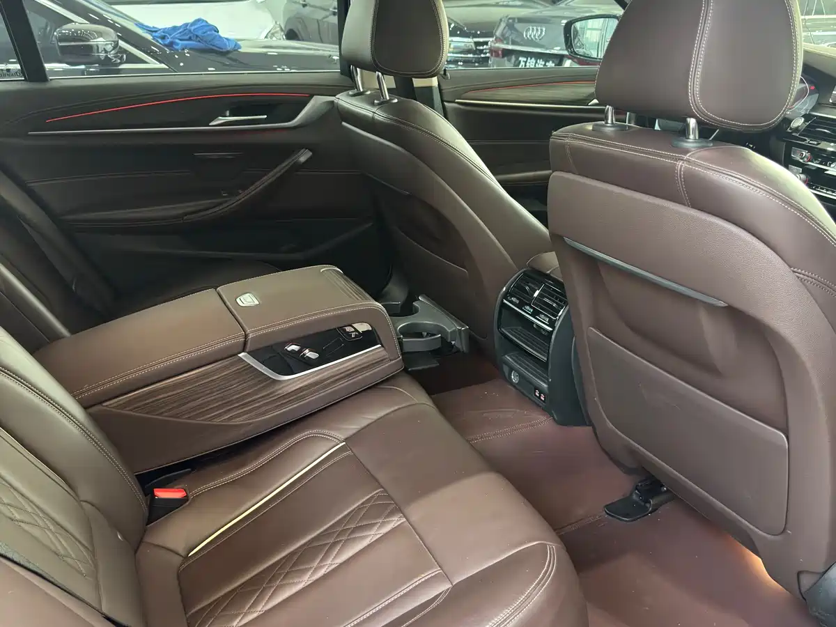 BMW 5 Series 2020 530Li Leading Luxury Package фото 10