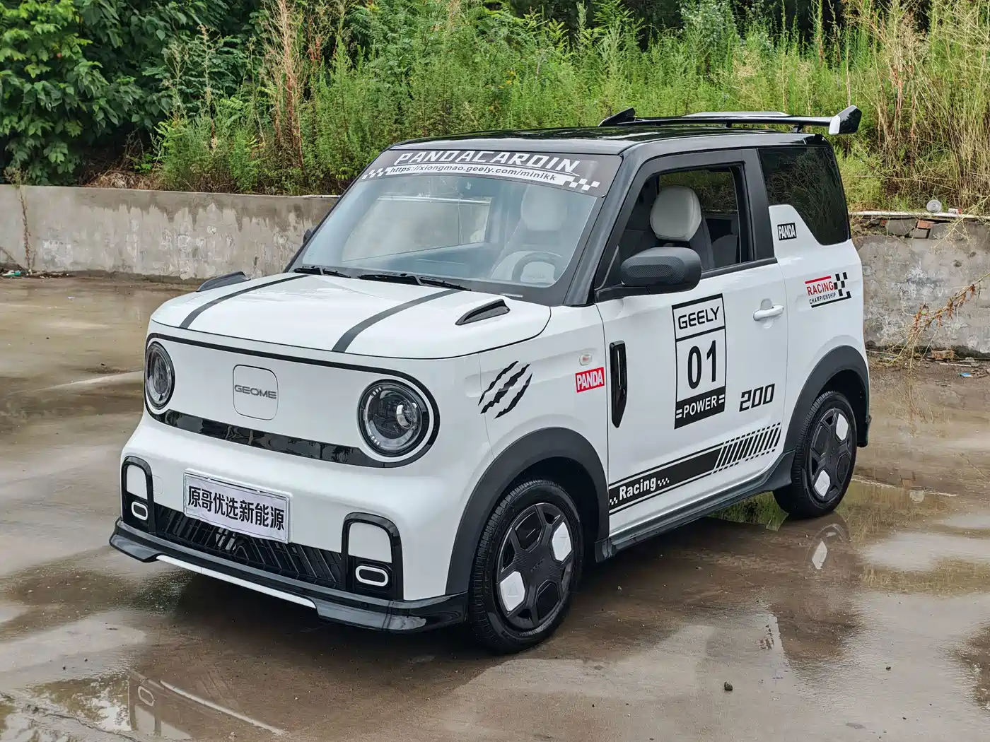 Geely Galaxy Panda 2025 Model Year 210km Panda Kart