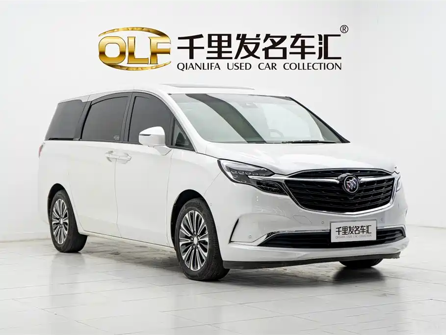 Buick GL8 2022 ES Landmark 653T Luxury фото 3