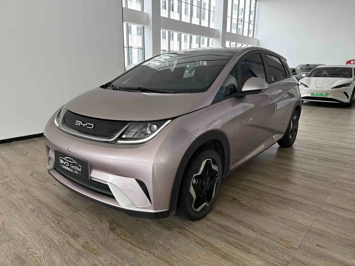 BYD Dolphin 2021 405km Freedom Edition
