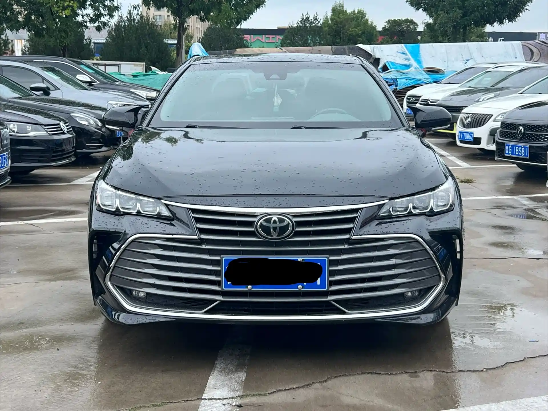 Фото 2 - Toyota Avalon