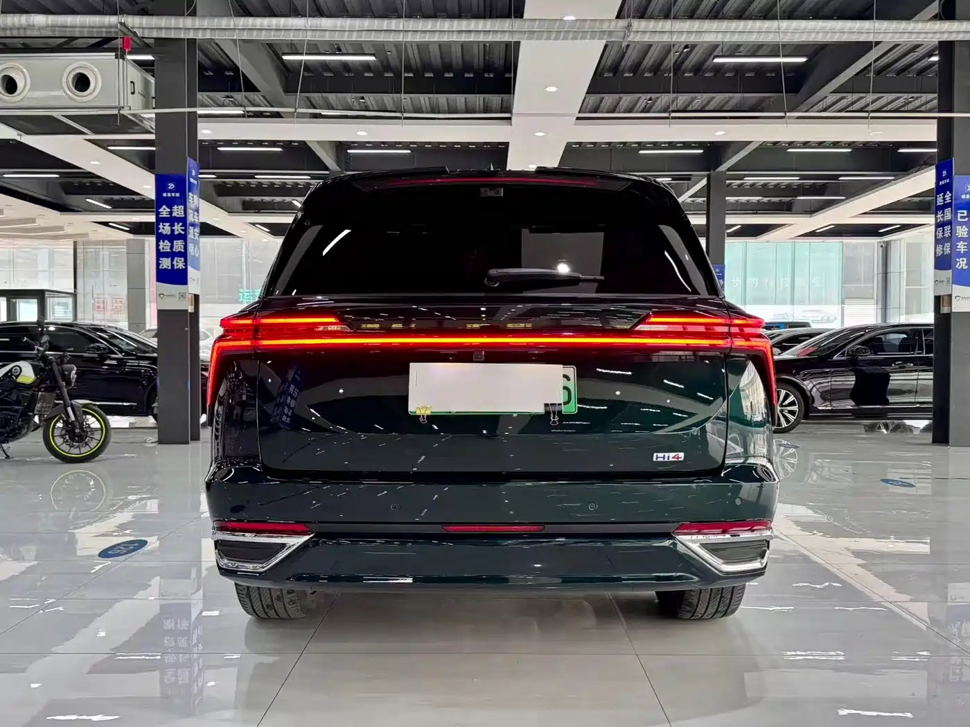 WEI PAI WEI BRAND BLUE MOUNTAIN