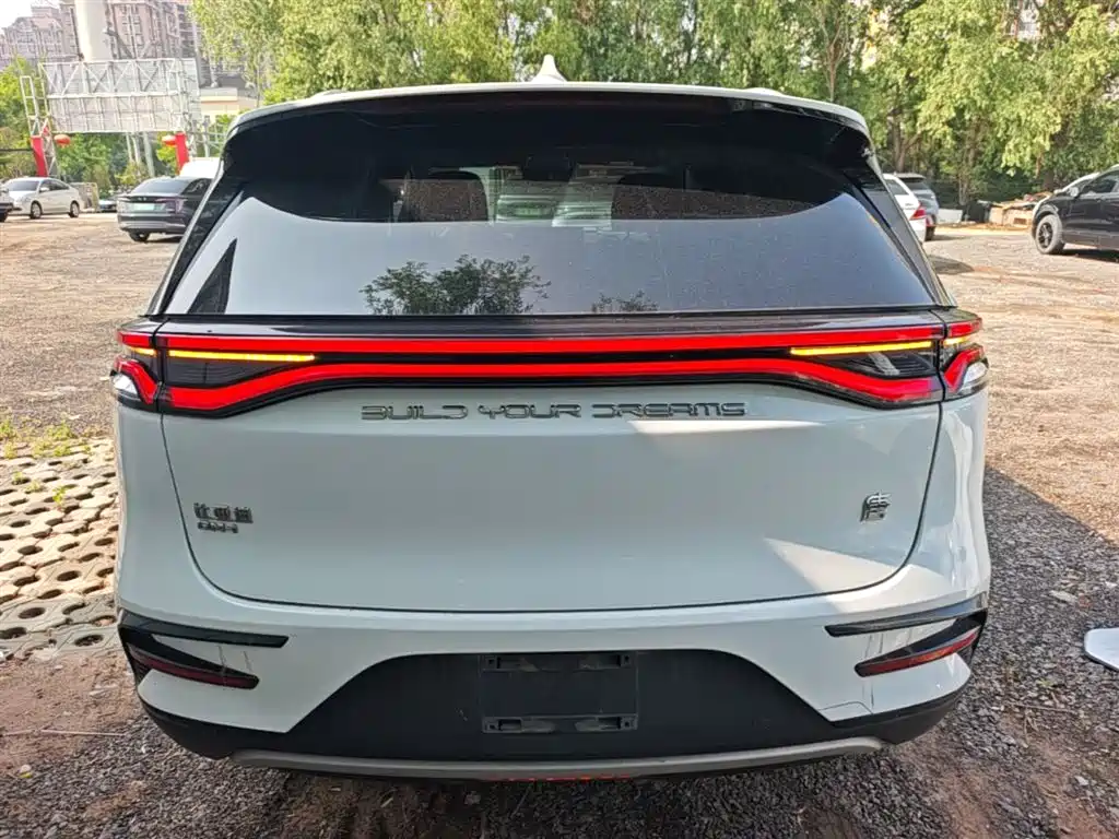 BYD Tang New Energy 2021 DM-i 112KM Honor фото 6