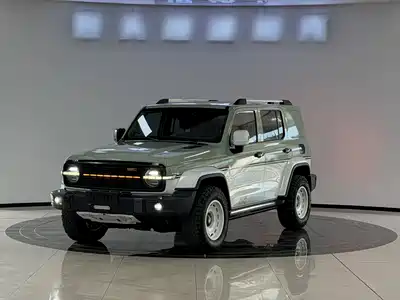 Tank 300