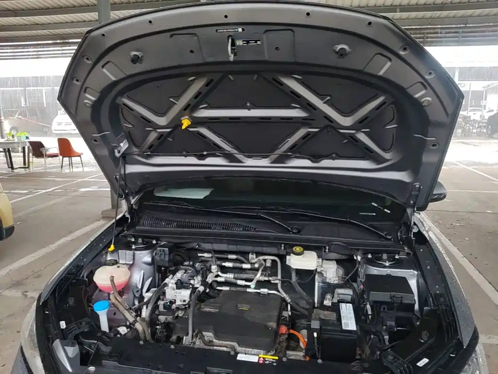 BYD e2 2023 2023 Comfort Model