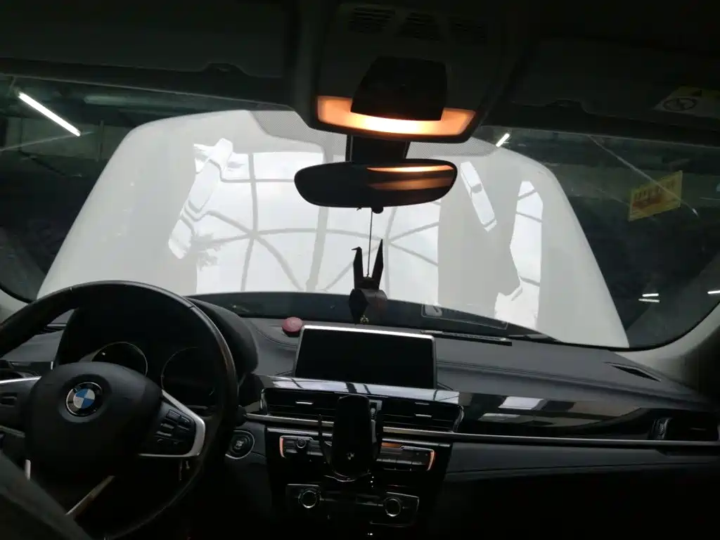 BMW X2 (Import) 2019 2019 sDrive20i M Off-Road Package China VI