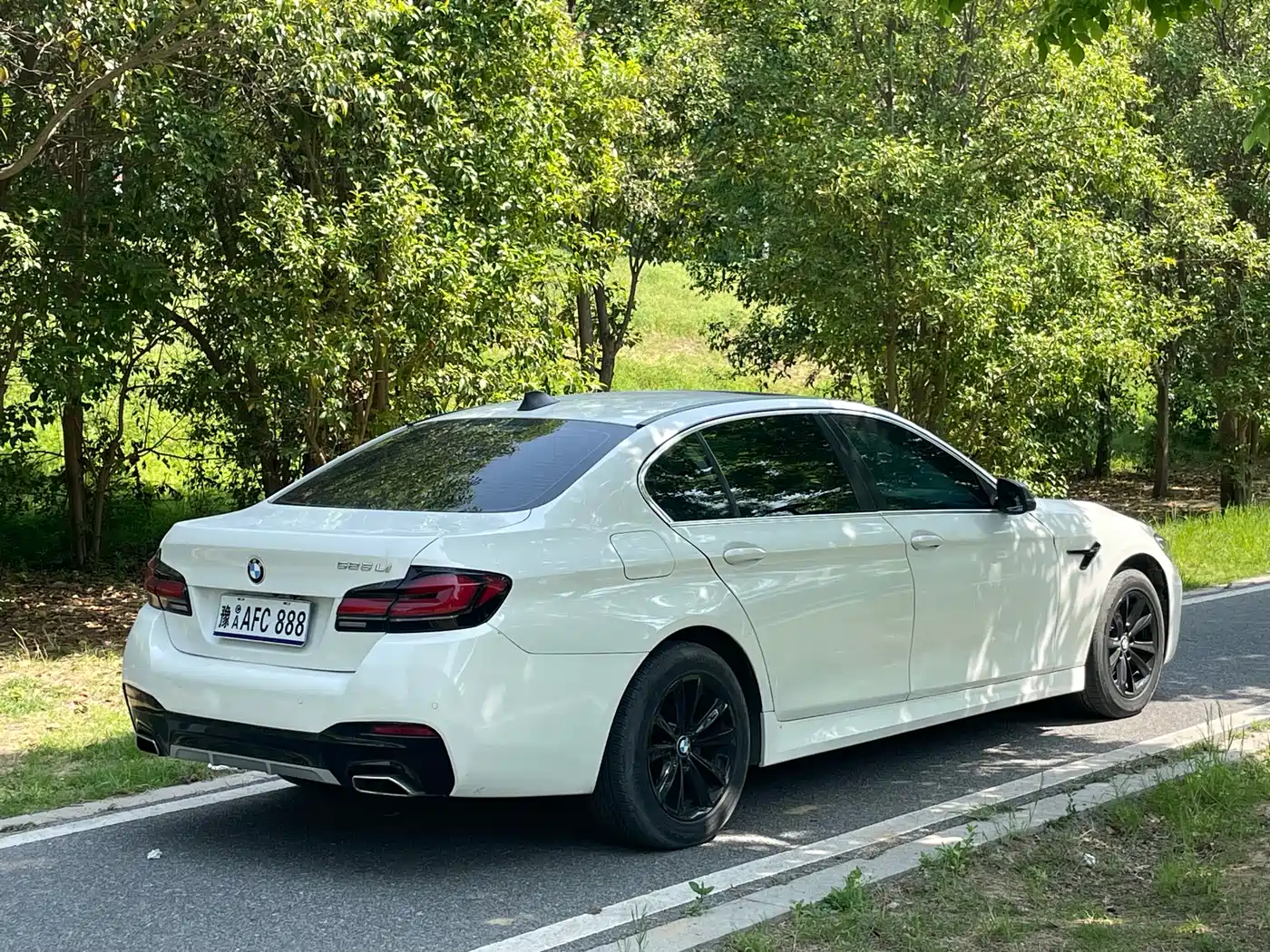 BMW 5 Series 2013 520Li Elegance фото 9