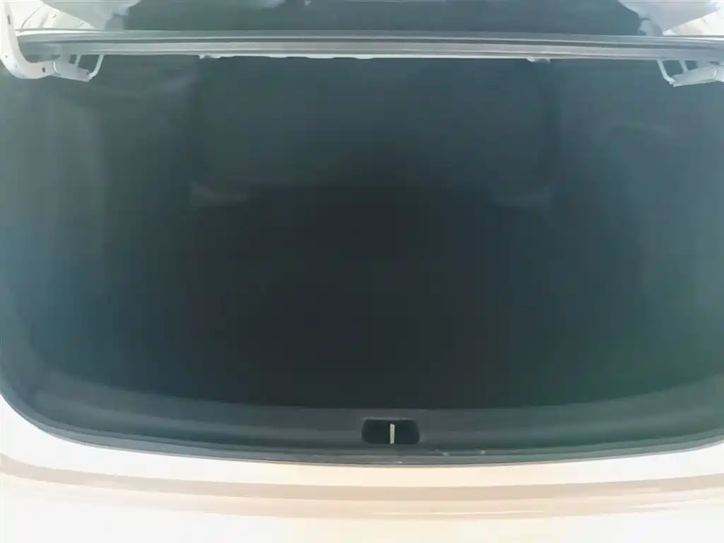 Toyota Corolla 2021 1.2T S-CVT Elite PLUS Edition фото 19