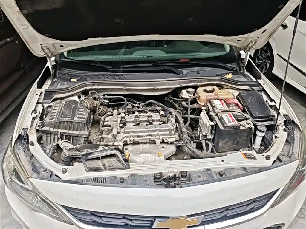 Chevrolet Cavalier 2019 320 Auto Sunroof Enjoyment Edition фото 20